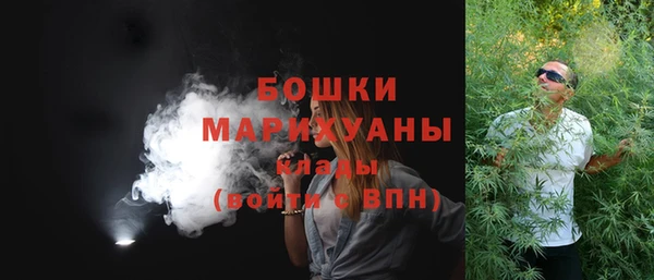молекула духа Богородицк