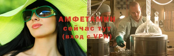 молекула духа Богородицк