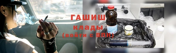 молекула духа Богородицк