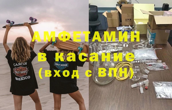 стаф Богородск