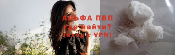 эйфоретик Богданович
