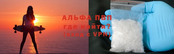 молекула духа Богородицк