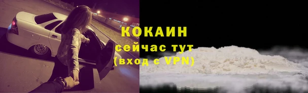 стаф Богородск