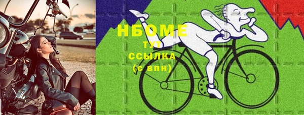 стаф Богородск