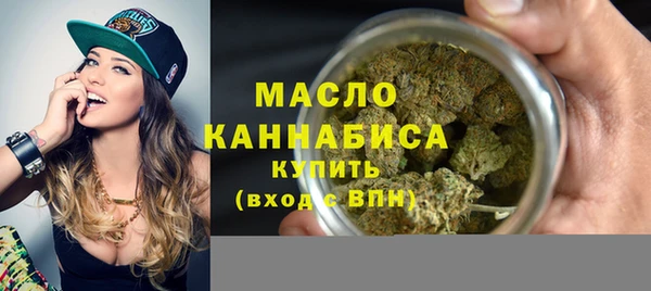 молекула духа Богородицк
