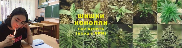 индика Остров