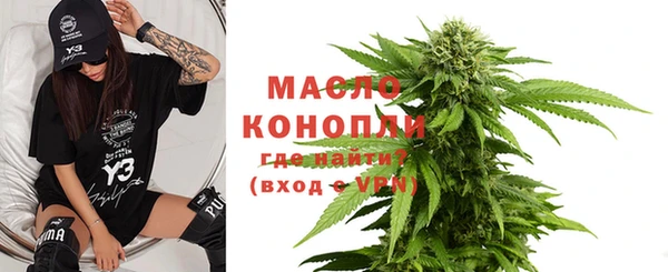 молекула духа Богородицк
