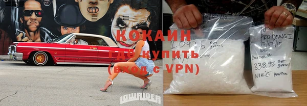 эйфоретик Богданович