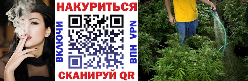 Шишки марихуана конопля  Баксан 